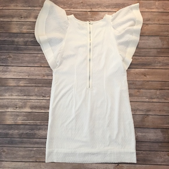 J. Crew Swiss Dot Flounce Sleeve Dress - Picture 5 of 7